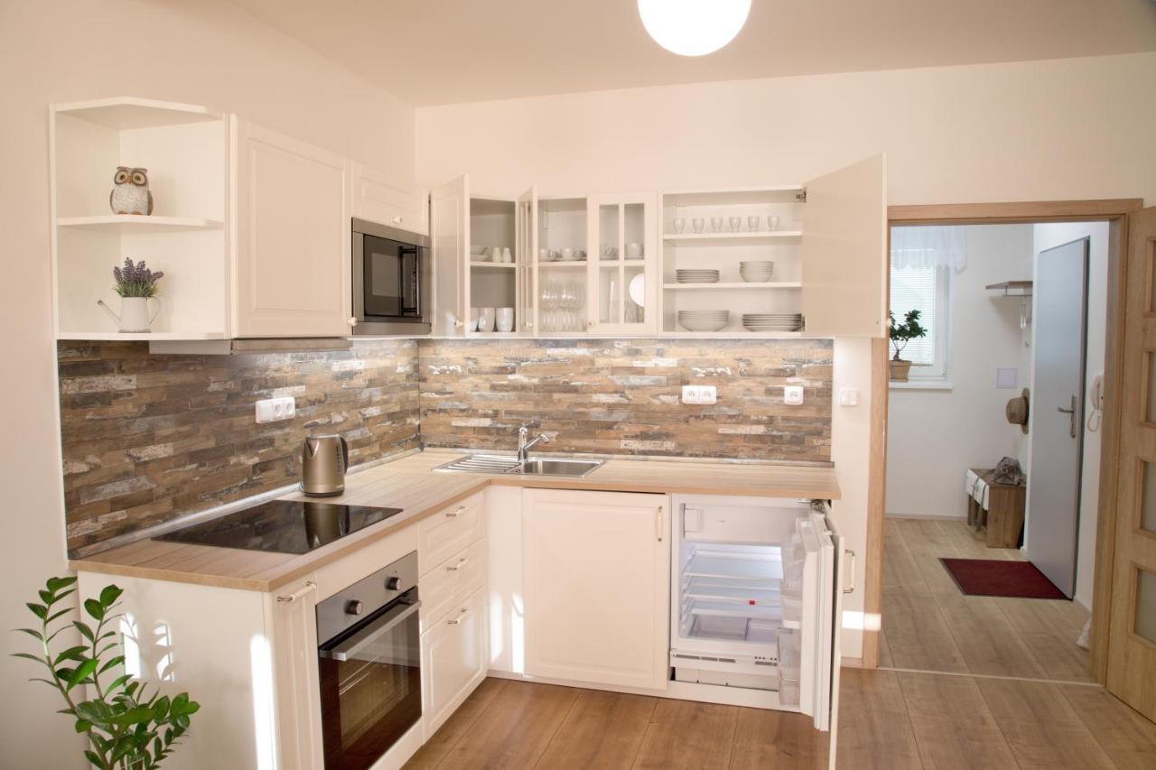 Mikulov Apartments - Apartman Radka Екстер'єр фото